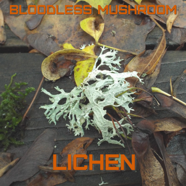 Lichen by Bloodless Mushroom Album Cover