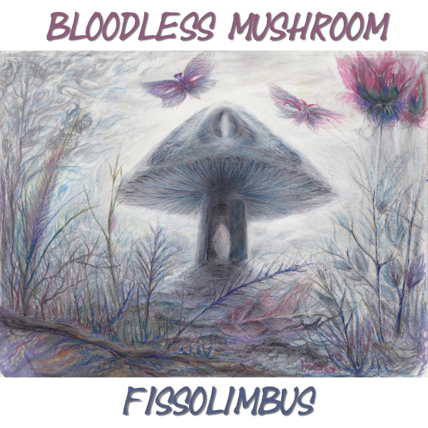 Fissolimbus by Bloodless Mushroom Album Cover
