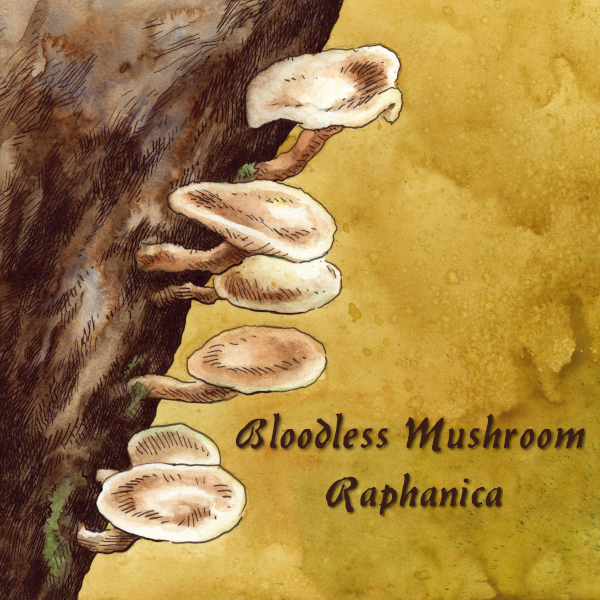 Raphanica by Bloodless Mushroom Album Cover